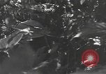 Image of Chinese soldier Burma, 1944, second 61 stock footage video 65675061587