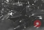 Image of Chinese soldier Burma, 1944, second 62 stock footage video 65675061587