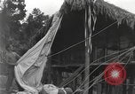 Image of Merrill's Marauders Burma, 1944, second 5 stock footage video 65675061590