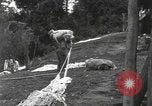 Image of Merrill's Marauders Burma, 1944, second 32 stock footage video 65675061590