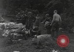 Image of Merrill's Marauders Burma, 1944, second 47 stock footage video 65675061590