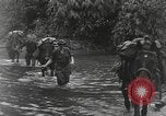 Image of Merrill's Marauders Burma, 1944, second 8 stock footage video 65675061591