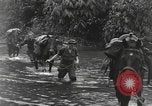 Image of Merrill's Marauders Burma, 1944, second 9 stock footage video 65675061591