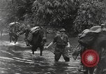 Image of Merrill's Marauders Burma, 1944, second 11 stock footage video 65675061591