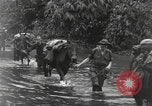 Image of Merrill's Marauders Burma, 1944, second 12 stock footage video 65675061591