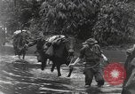 Image of Merrill's Marauders Burma, 1944, second 13 stock footage video 65675061591