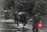 Image of Merrill's Marauders Burma, 1944, second 14 stock footage video 65675061591