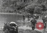 Image of Merrill's Marauders Burma, 1944, second 16 stock footage video 65675061591