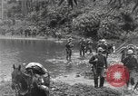 Image of Merrill's Marauders Burma, 1944, second 17 stock footage video 65675061591