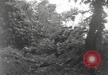 Image of Merrill's Marauders Burma, 1944, second 31 stock footage video 65675061591