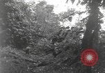 Image of Merrill's Marauders Burma, 1944, second 33 stock footage video 65675061591