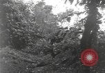 Image of Merrill's Marauders Burma, 1944, second 35 stock footage video 65675061591