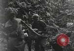 Image of Merrill's Marauders Burma, 1944, second 45 stock footage video 65675061591