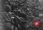 Image of Merrill's Marauders Burma, 1944, second 46 stock footage video 65675061591