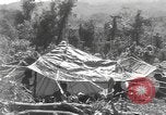 Image of Merrill's Marauders Burma, 1944, second 61 stock footage video 65675061591
