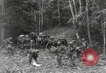 Image of Merrill's Marauders Burma, 1944, second 10 stock footage video 65675061592
