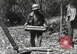 Image of Merrill's Marauders Burma, 1944, second 38 stock footage video 65675061592