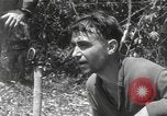 Image of Merrill's Marauders Burma, 1944, second 48 stock footage video 65675061592