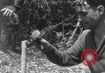 Image of Merrill's Marauders Burma, 1944, second 51 stock footage video 65675061592