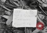 Image of Merrill's Marauders Burma, 1944, second 1 stock footage video 65675061593