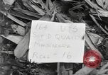 Image of Merrill's Marauders Burma, 1944, second 3 stock footage video 65675061593