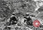 Image of Merrill's Marauders Burma, 1944, second 7 stock footage video 65675061593
