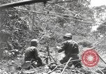 Image of Merrill's Marauders Burma, 1944, second 19 stock footage video 65675061593
