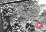 Image of Merrill's Marauders Burma, 1944, second 23 stock footage video 65675061593