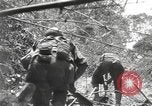 Image of Merrill's Marauders Burma, 1944, second 24 stock footage video 65675061593