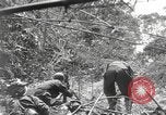 Image of Merrill's Marauders Burma, 1944, second 26 stock footage video 65675061593
