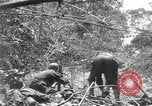 Image of Merrill's Marauders Burma, 1944, second 27 stock footage video 65675061593
