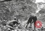 Image of Merrill's Marauders Burma, 1944, second 28 stock footage video 65675061593