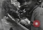 Image of Merrill's Marauders Burma, 1944, second 4 stock footage video 65675061594