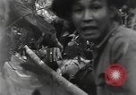 Image of Merrill's Marauders Burma, 1944, second 5 stock footage video 65675061594