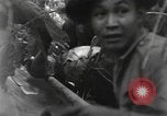 Image of Merrill's Marauders Burma, 1944, second 6 stock footage video 65675061594