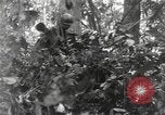 Image of Merrill's Marauders Burma, 1944, second 15 stock footage video 65675061594
