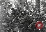 Image of Merrill's Marauders Burma, 1944, second 16 stock footage video 65675061594