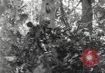 Image of Merrill's Marauders Burma, 1944, second 17 stock footage video 65675061594