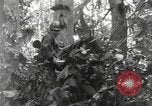 Image of Merrill's Marauders Burma, 1944, second 20 stock footage video 65675061594