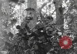 Image of Merrill's Marauders Burma, 1944, second 21 stock footage video 65675061594