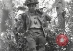 Image of Merrill's Marauders Burma, 1944, second 28 stock footage video 65675061594