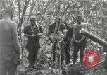 Image of Merrill's Marauders Burma, 1944, second 47 stock footage video 65675061594