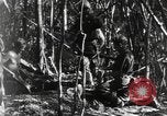 Image of Merrill's Marauders Burma, 1944, second 59 stock footage video 65675061594