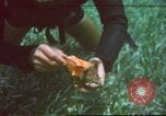 Image of United States navy diver Atlantic Ocean, 1964, second 1 stock footage video 65675061595