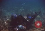 Image of United States navy diver Atlantic Ocean, 1964, second 14 stock footage video 65675061595