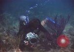 Image of United States navy diver Atlantic Ocean, 1964, second 16 stock footage video 65675061595