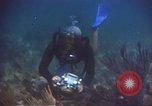 Image of United States navy diver Atlantic Ocean, 1964, second 19 stock footage video 65675061595
