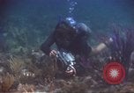 Image of United States navy diver Atlantic Ocean, 1964, second 24 stock footage video 65675061595