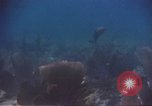 Image of United States navy diver Atlantic Ocean, 1964, second 28 stock footage video 65675061595