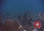 Image of United States navy diver Atlantic Ocean, 1964, second 30 stock footage video 65675061595